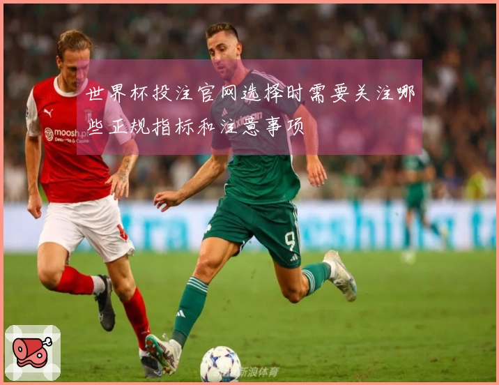 世界杯投注官网选择时需要关注哪些正规指标和注意事项