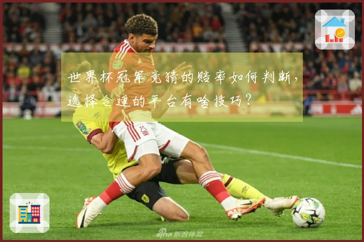 世界杯冠军竞猜的赔率如何判断，选择合适的平台有啥技巧？