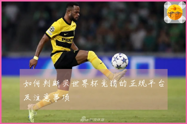 如何判断买世界杯竞猜的正规平台及注意事项