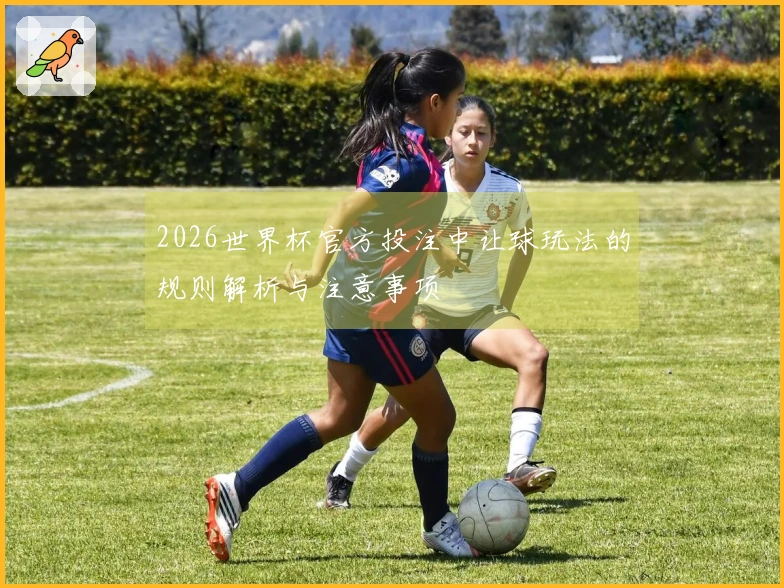 2026世界杯官方投注中让球玩法的规则解析与注意事项