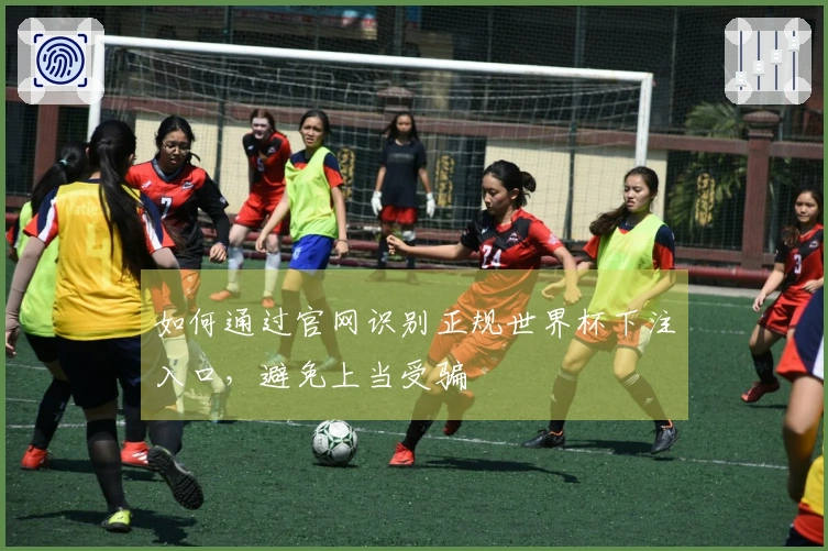 如何通过官网识别正规世界杯下注入口，避免上当受骗