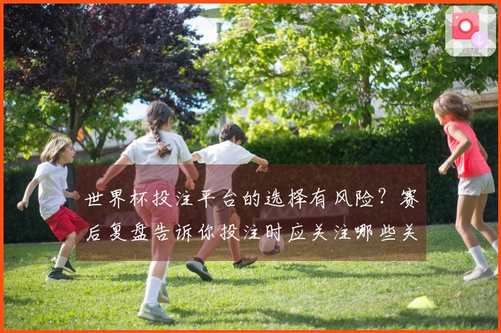 世界杯投注平台的选择有风险？赛后复盘告诉你投注时应关注哪些关键因素