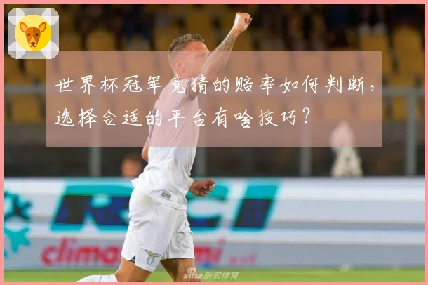世界杯冠军竞猜的赔率如何判断，选择合适的平台有啥技巧？
