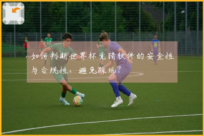 如何判断世界杯竞猜软件的安全性与合规性，避免踩坑？