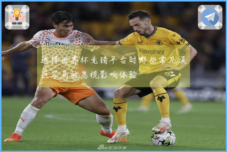 选择世界杯竞猜平台时哪些常见误区容易被忽视影响体验