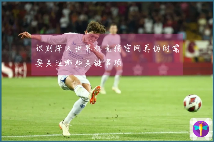 识别烽火世界杯竞猜官网真伪时需要关注哪些关键事项