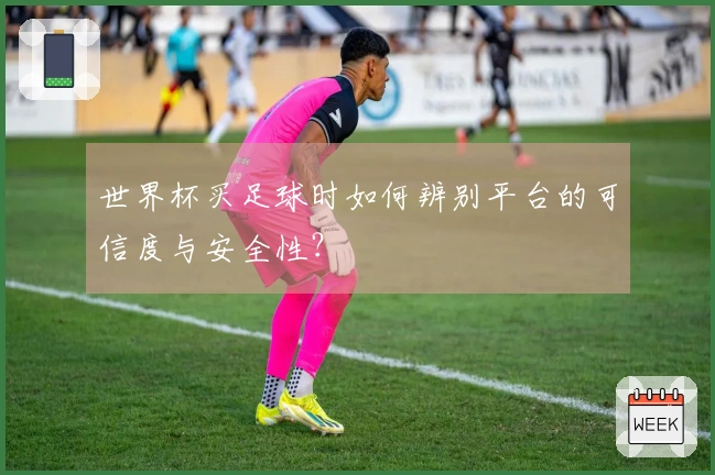 世界杯买足球时如何辨别平台的可信度与安全性？