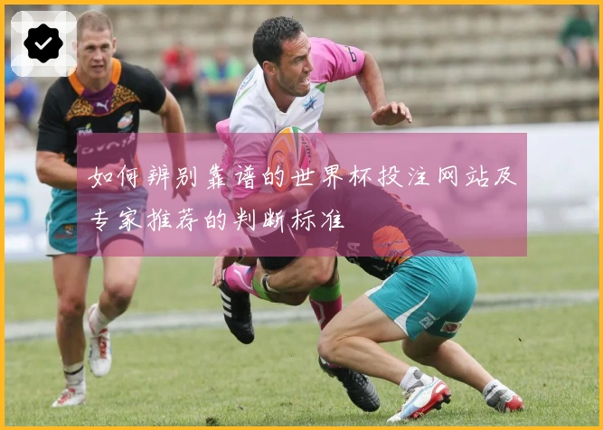如何辨别靠谱的世界杯投注网站及专家推荐的判断标准