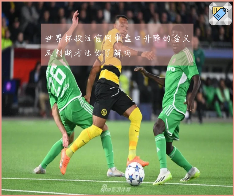 世界杯投注官网中盘口升降的含义及判断方法你了解吗