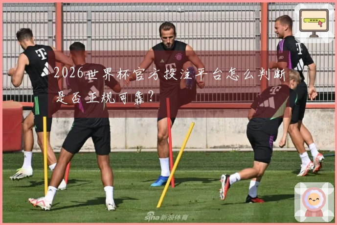 2026世界杯官方投注平台怎么判断是否正规可靠？