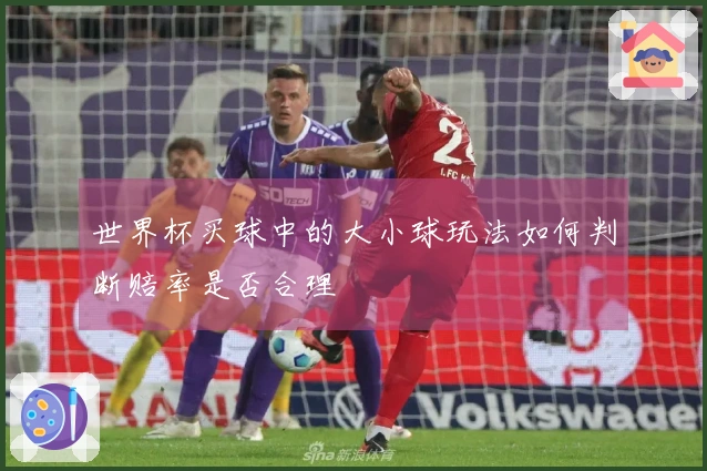 世界杯买球中的大小球玩法如何判断赔率是否合理