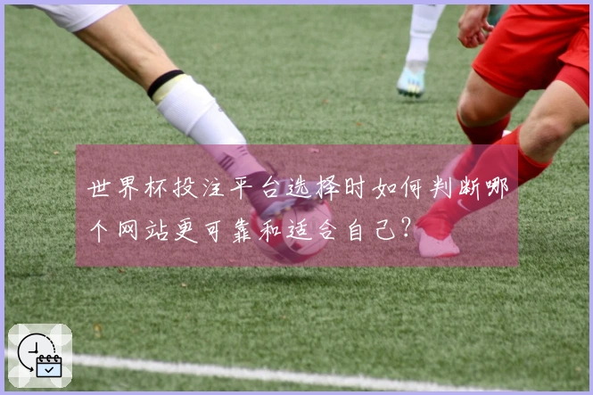 世界杯投注平台选择时如何判断哪个网站更可靠和适合自己？