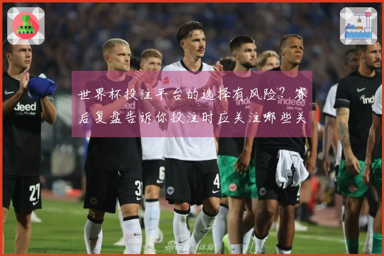 世界杯投注平台的选择有风险？赛后复盘告诉你投注时应关注哪些关键因素