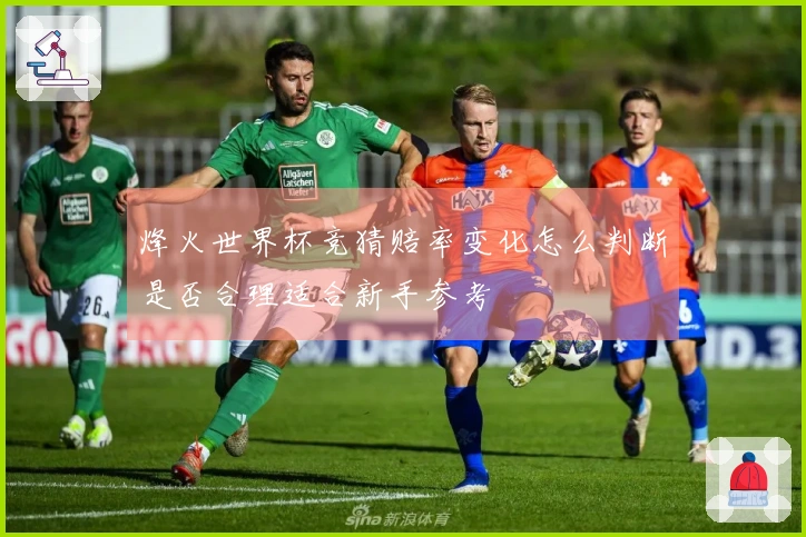 烽火世界杯竞猜赔率变化怎么判断是否合理适合新手参考