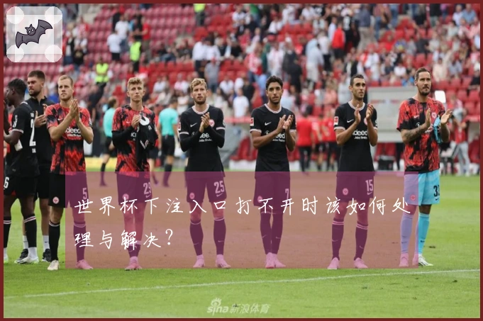 世界杯下注入口打不开时该如何处理与解决？