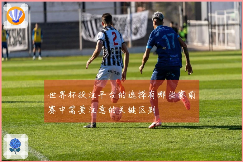 世界杯投注平台的选择有哪些赛前赛中需要注意的关键区别