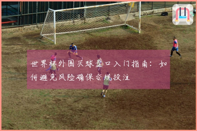 世界杯外围买球盘口入门指南：如何避免风险确保合规投注