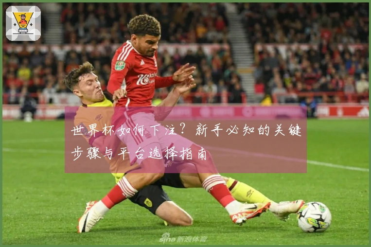 世界杯如何下注？新手必知的关键步骤与平台选择指南