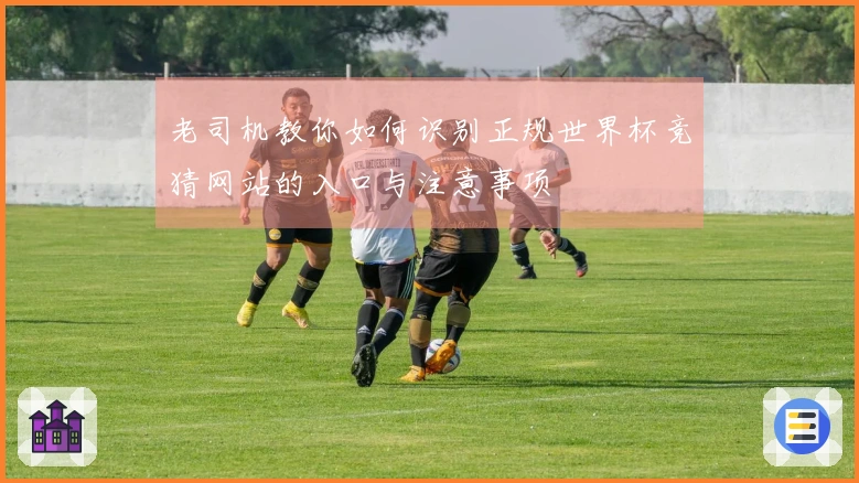 老司机教你如何识别正规世界杯竞猜网站的入口与注意事项