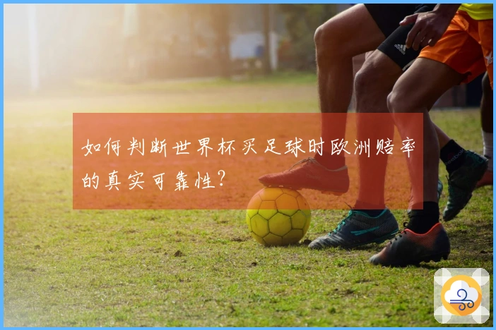 如何判断世界杯买足球时欧洲赔率的真实可靠性？