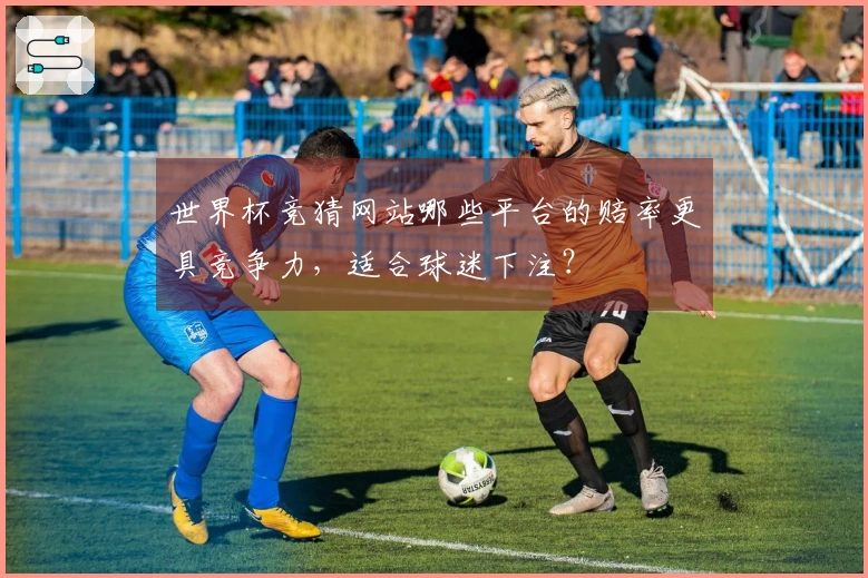 世界杯竞猜网站哪些平台的赔率更具竞争力，适合球迷下注？