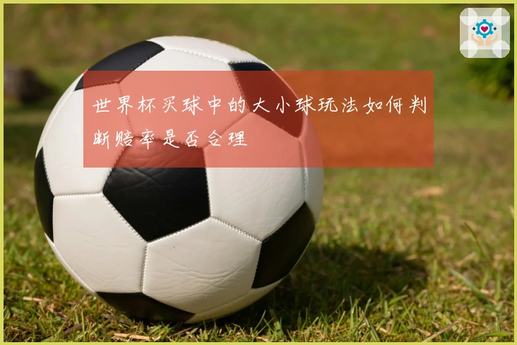 世界杯买球中的大小球玩法如何判断赔率是否合理