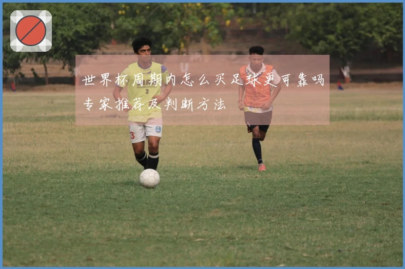 世界杯周期内怎么买足球更可靠吗专家推荐及判断方法